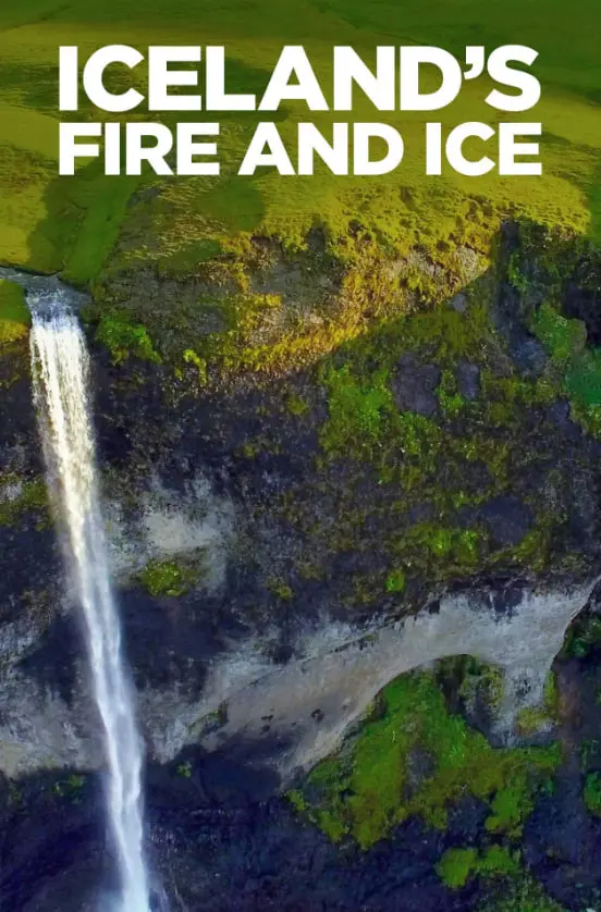 《冰岛的冰与火》：一场视觉盛宴，探寻极地风光下的生命律动！